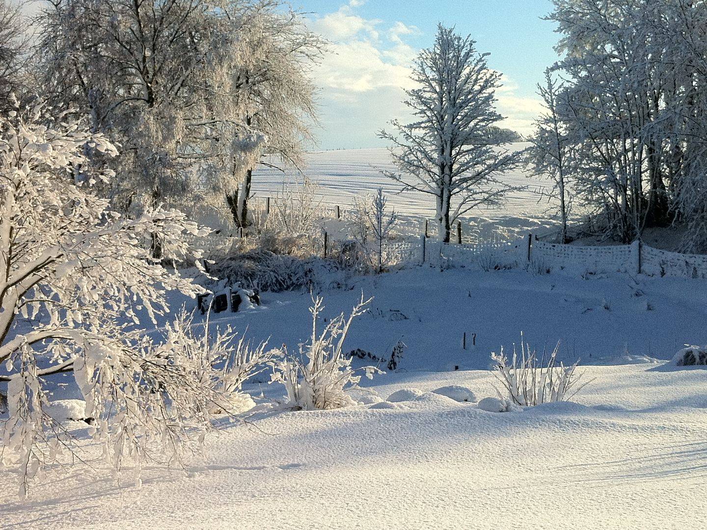 UK snow is pretty - but it overwhelmed easyJet