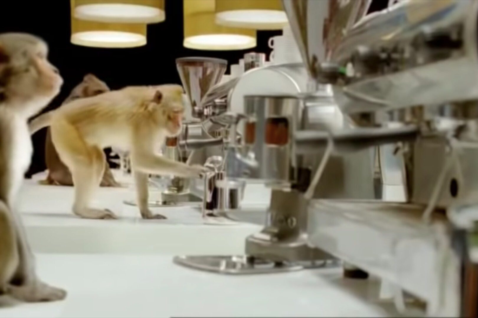 Monkeys try to make coffee in the Costa Coffee ad