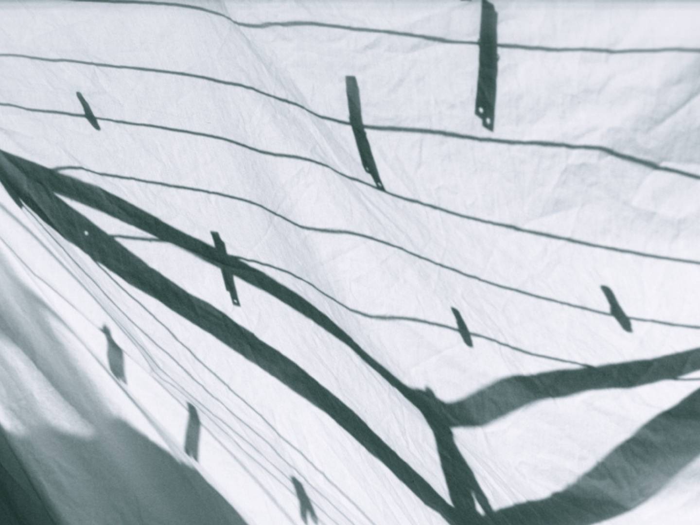 The new transparency means reputation laundering is a thing of the past