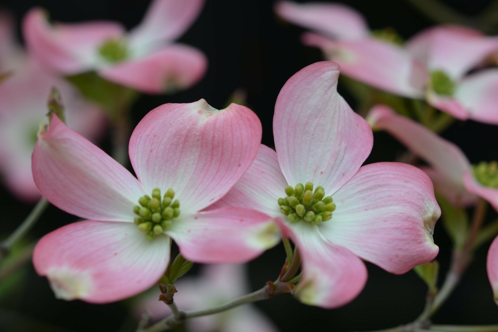 Colourful moodboards have helped fuel the rise of Pinterest