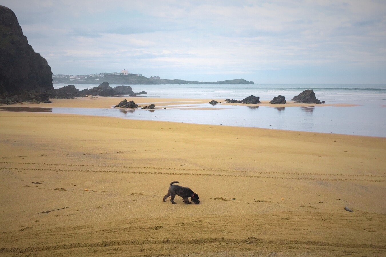 Return of the digital nomad - view from the office at Lusty Glaze beach in Newquay