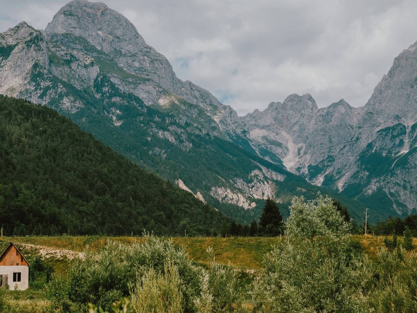 My ethical tech consultancy will seek to prioritise sustainability and the environment
