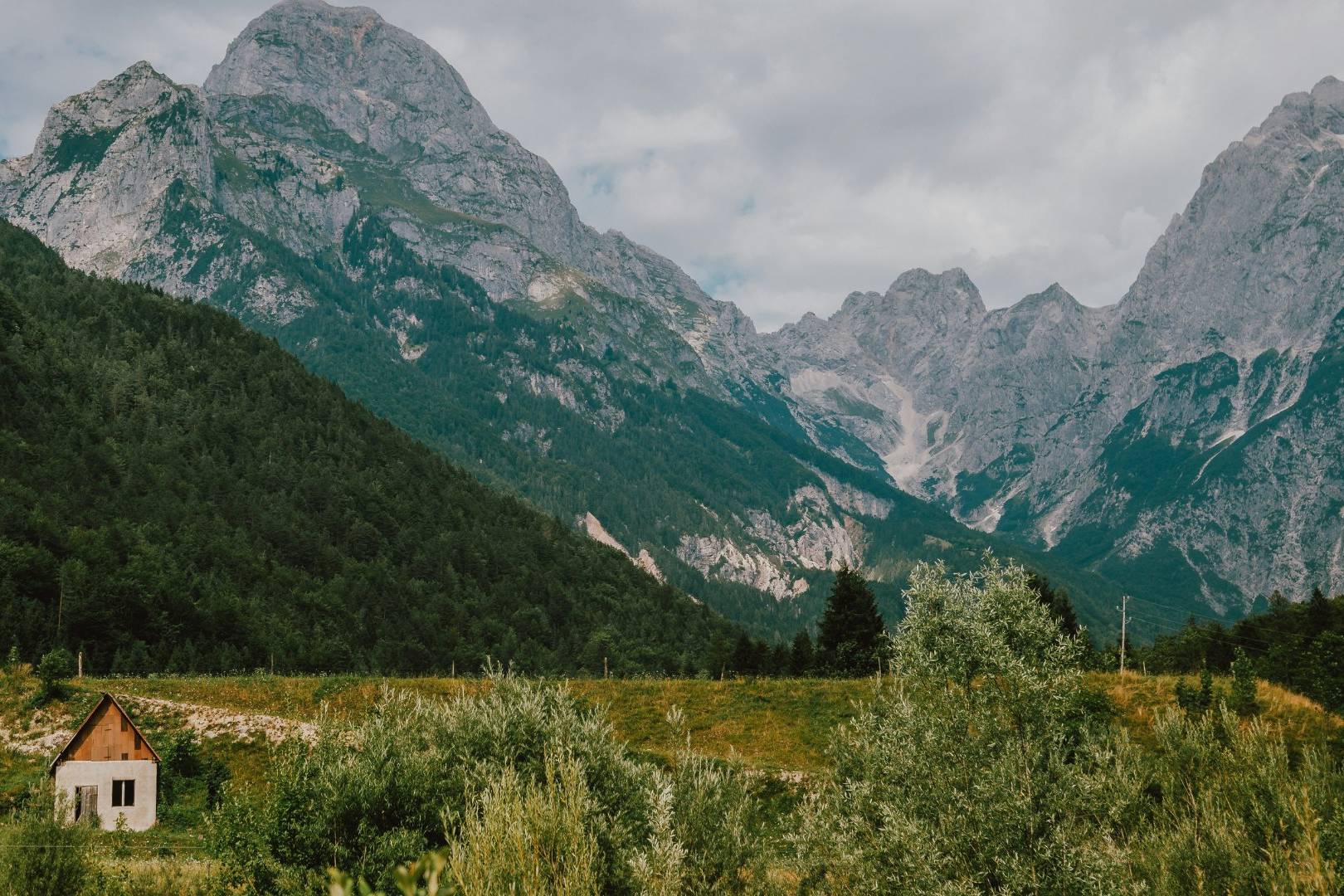 My ethical tech consultancy will seek to prioritise sustainability and the environment